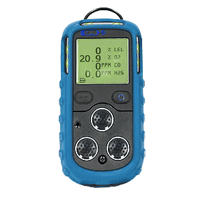 Teledyne PS200 64114 1-Gas CO Pumped (Standard Filter on LEL Sensor)